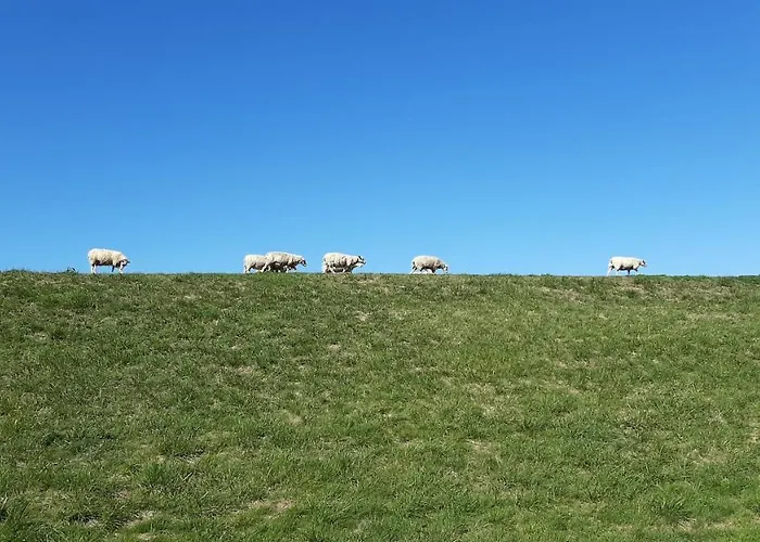 Lägenhet Fewo-butze 2 Mit Terrasse